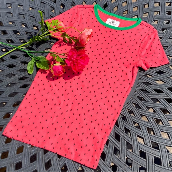 JCrew pink seeded green ringer watermelon t shirt NWOT Small - Picture 2 of 7